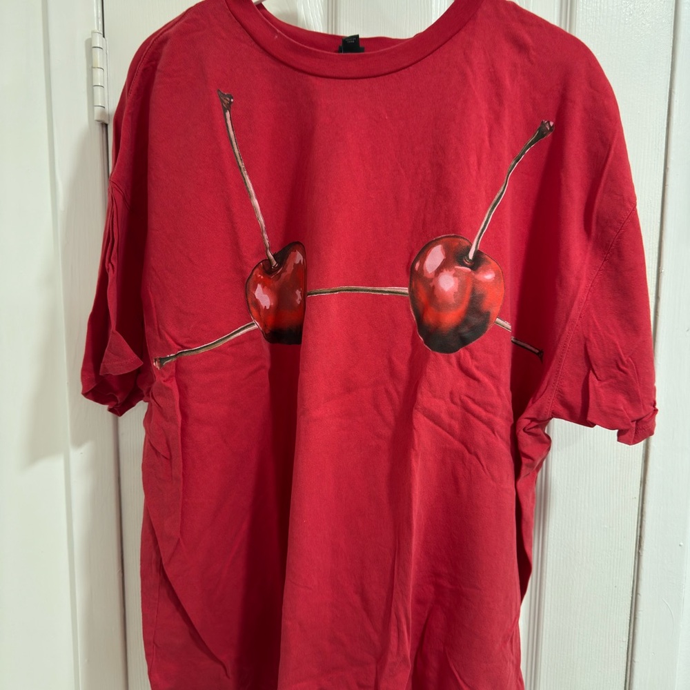Wild Fable Red Top